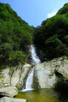 拯救昆虫群